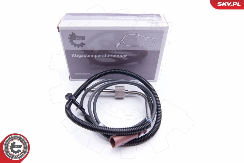 Sensor, exhaust gas temperature